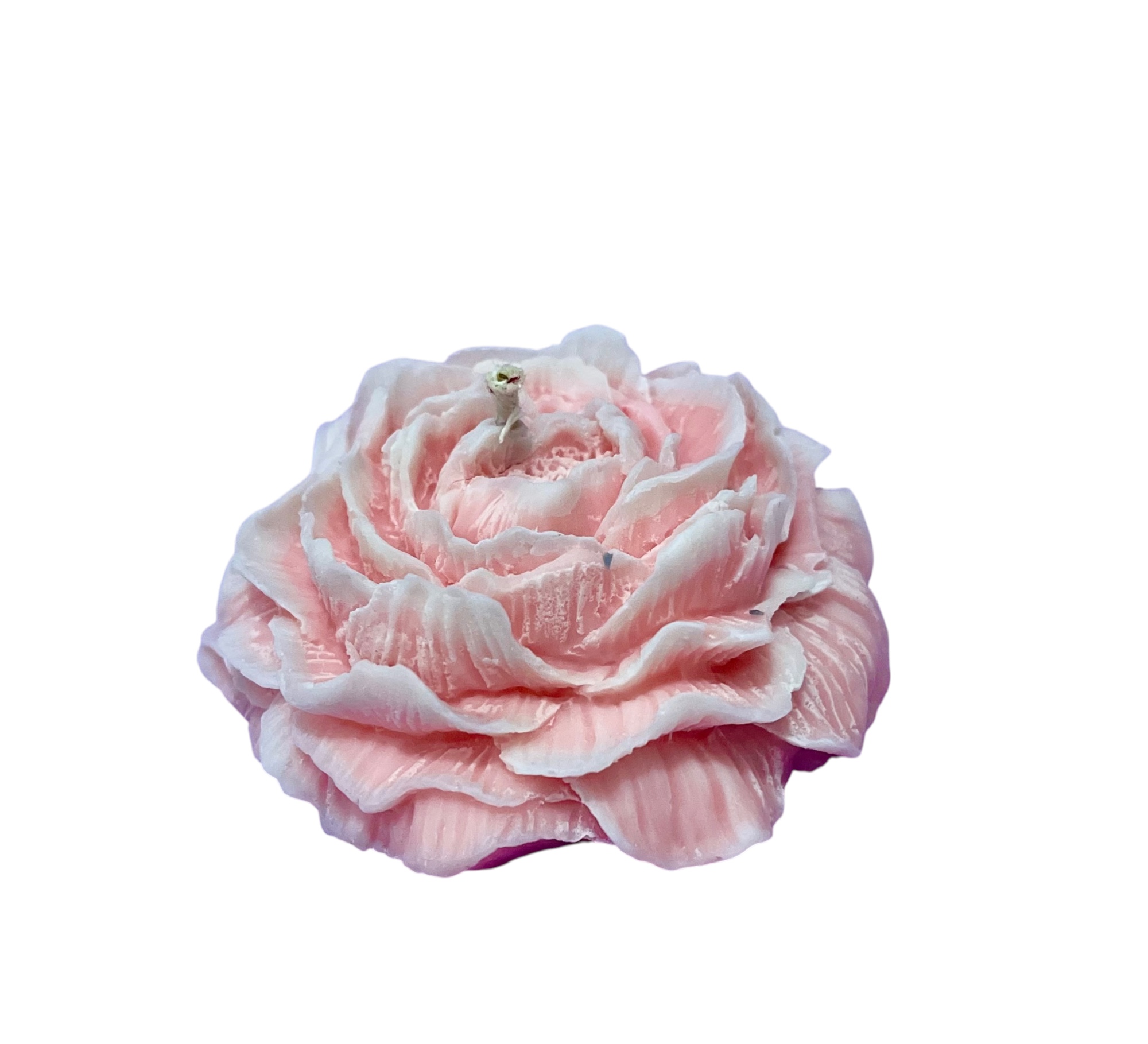 Ponía "Cereza Dulce" - Image 3